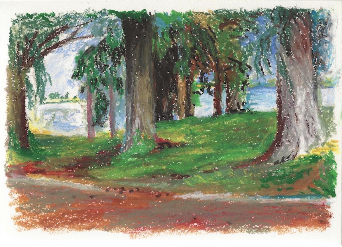 Árvores junto ao rio